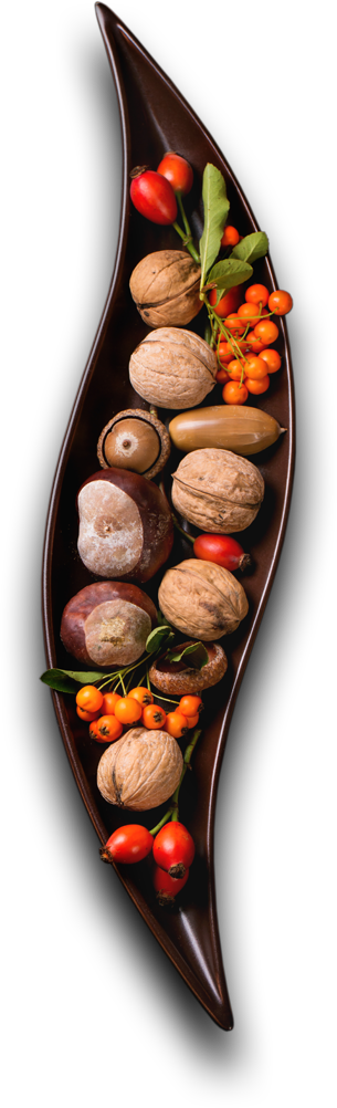 Le Comptoir de l'inde