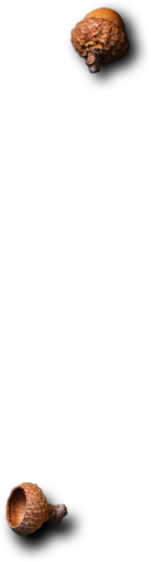 Le Comptoir de l'inde