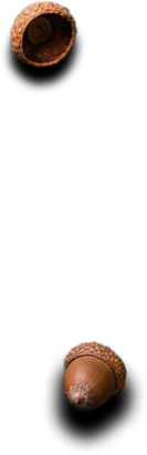 Le Comptoir de l'inde