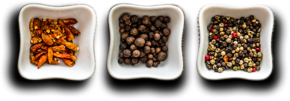 Le Comptoir de l'inde